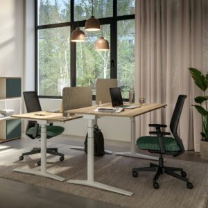 Canvaro Schreibtische by Assmann