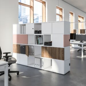 Cubas Regalsystem by Assmann