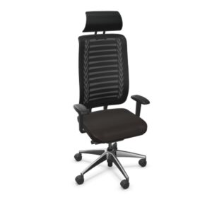 Drehstuhl Reflex XL + Kopfstütze