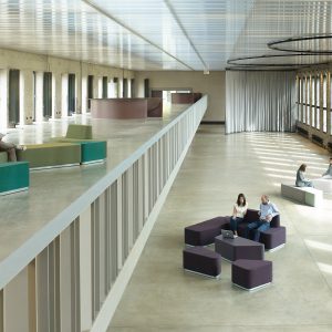 Viasit-Ambiente-Organic-Office (3)